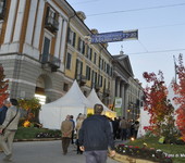 Foto Fiera Nazionale del Marrone 2013