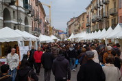 Foto di Maineri Teresa