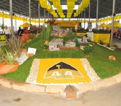 Foto Fiera Nazionale del Marrone 2012