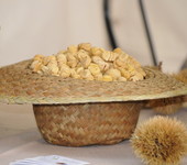 Foto di Teresa Maineri