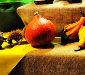 Foto Fiera Nazionale del Marrone 2012