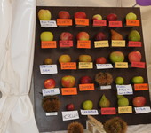 foto di Teresa Maineri