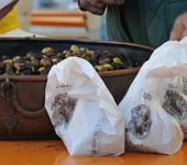 Foto di Teresa Maineri