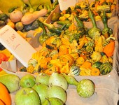 Foto Fiera Nazionale del Marrone 2012