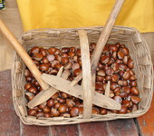 Foto di Teresa Maineri