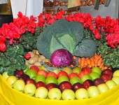 Foto Fiera Nazionale del Marrone 2011