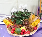 Foto Fiera Nazionale del Marrone 2012