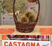 Foto di Maineri Teresa