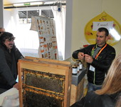 foto di Teresa Maineri