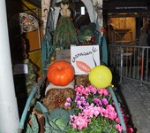 Foto Fiera Nazionale del Marrone 2011