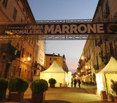 Foto di Maineri Teresa Edizione 2017