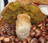 Foto di Teresa Maineri
