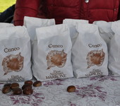 Foto di Teresa Maineri