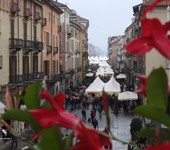 Foto di Maineri Teresa Edizione 2019