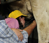 Foto Fiera Nazionale del Marrone 2014