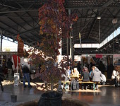 foto di Teresa Maineri